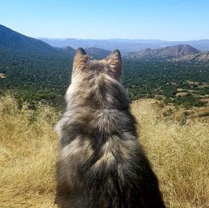 Meet your Posher, Darrell